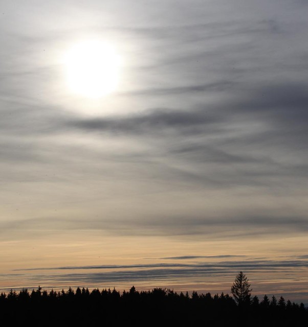 Sonnenaufgang (Foto: BKBB | I. Seidel)